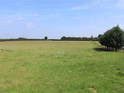 Picture 28